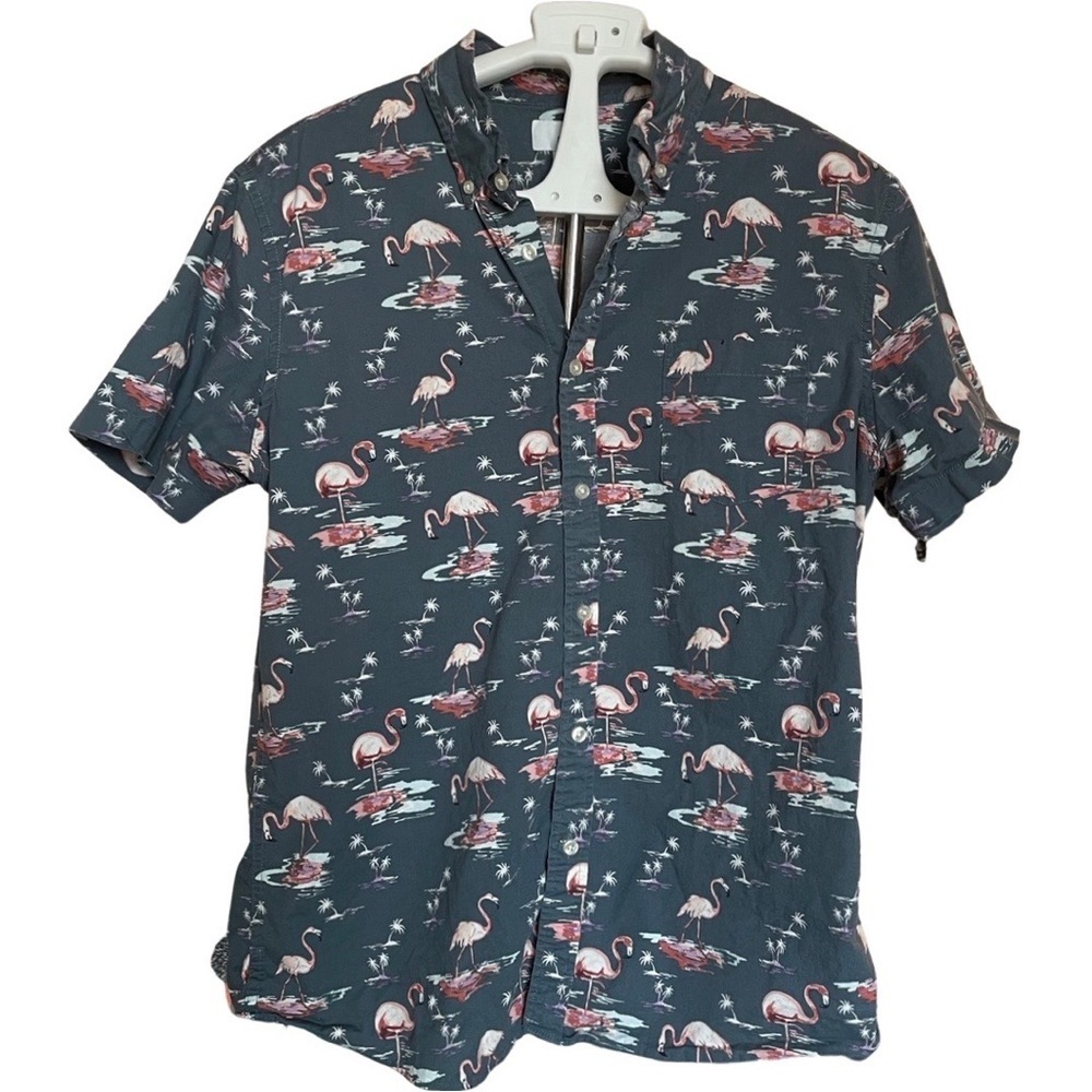 Sonoma Flamingo Button Down